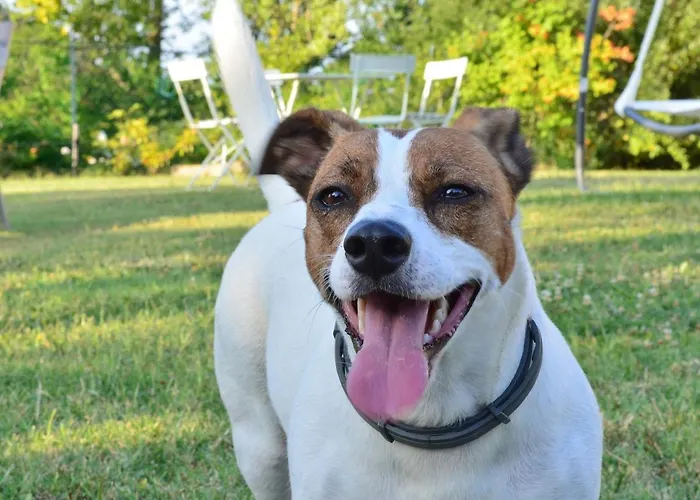 Kemping Agricampeggio Ca Di Mazza Monzuno