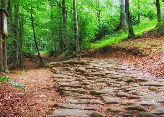 Kemping Agricampeggio Ca Di Mazza