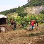 Kemping Agricampeggio Ca Di Mazza *