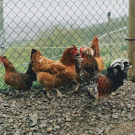 Agricampeggio Ca Di Mazza Parque de Campismo *