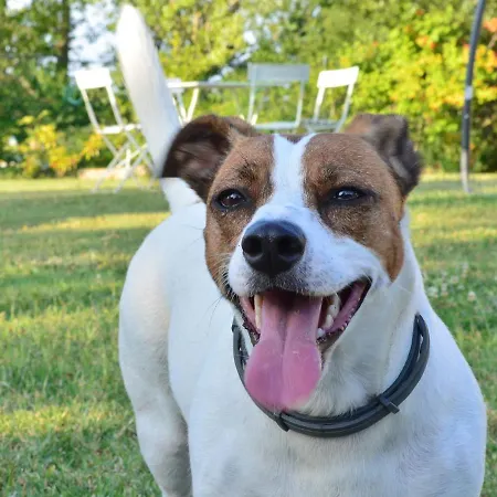 Campeggio Agricampeggio Cà Di Mazza Monzuno