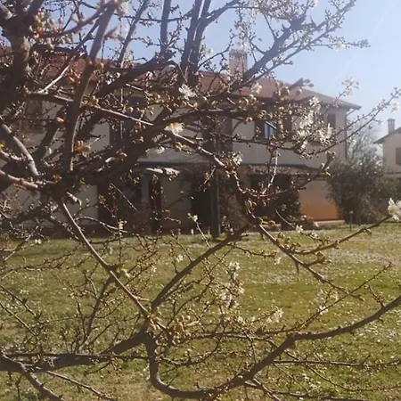 Agricampeggio Ca Di Mazza Monzuno