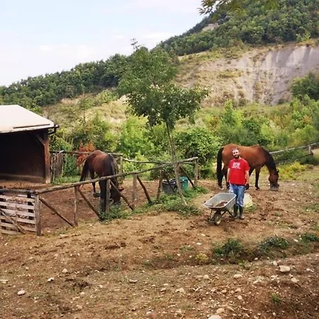 Campingplads Agricampeggio Ca Di Mazza *