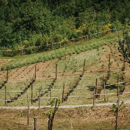 Agricampeggio Ca Di Mazza Campingplatz Monzuno