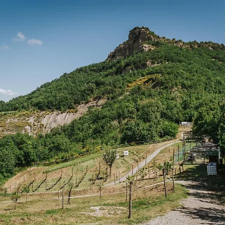 Agricampeggio Ca Di Mazza Monzuno