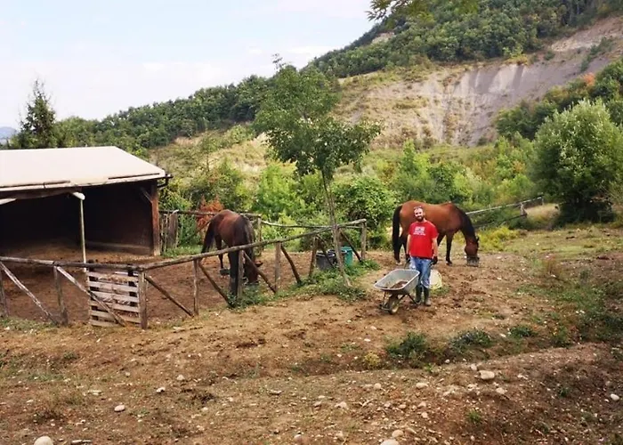 Campeggio Agricampeggio Cà Di Mazza *