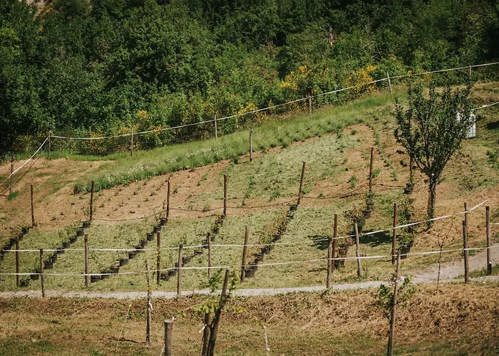 Agricampeggio Cà Di Mazza Campeggio Monzuno